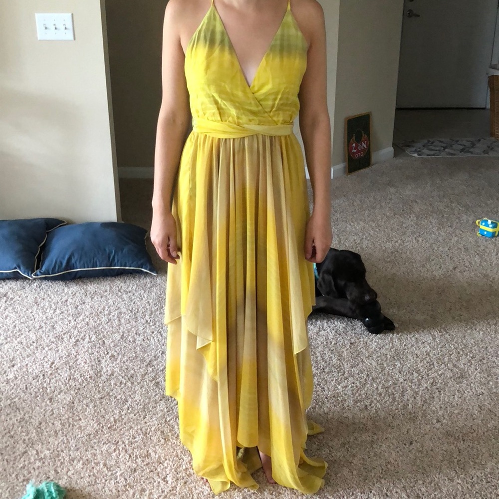 Alice + Olivia Dress